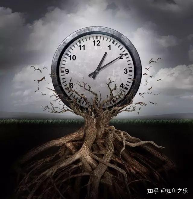 你能管理好你的5种时间吗? - 知乎