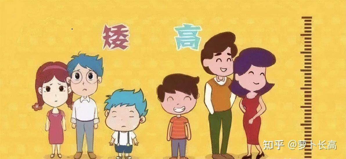揭秘身高管理误区原来想长高这么简单