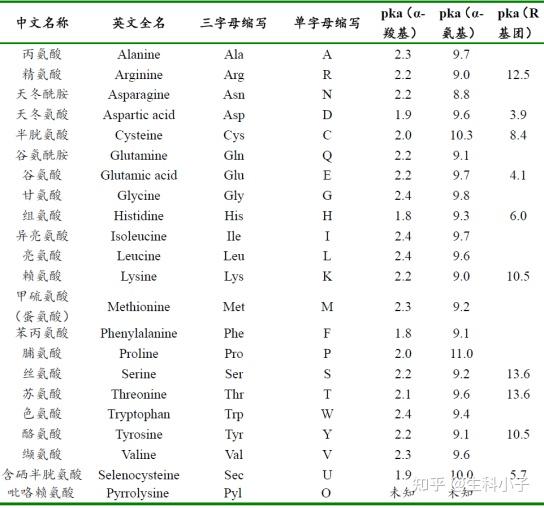 21种氨基酸缩写表图片