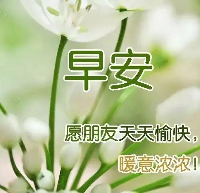 微信清晨群发唯美早上好问候祝福语图片漂亮的早上好动画表情图片闪动