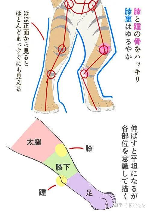 画兽人的要素与小技巧