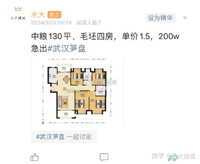 这个楼盘才是武汉真正的不动产（2024/3/14-16） - 知乎
