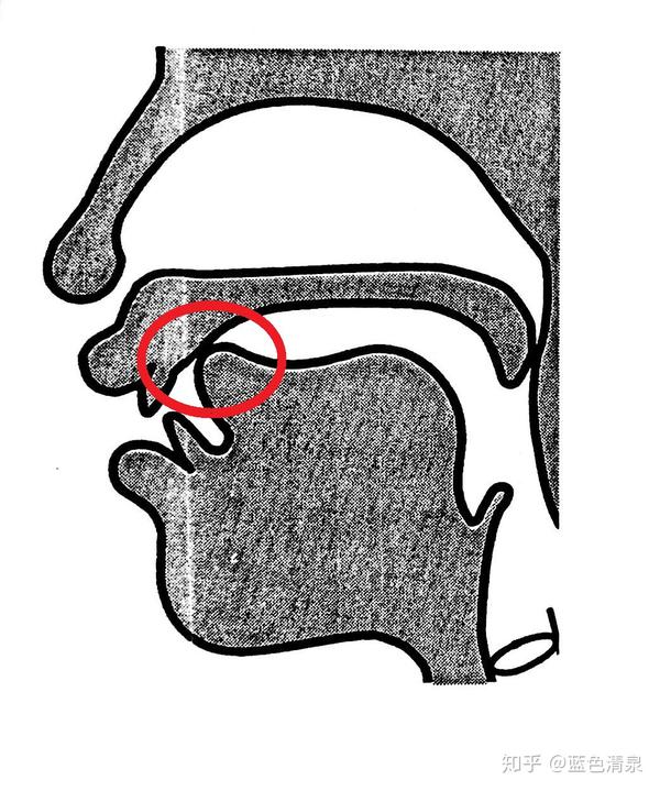 独家 二月二 来学学卷舌和儿化的发音秘笈 知乎