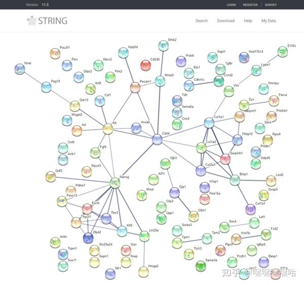 Rna seq ppi string 