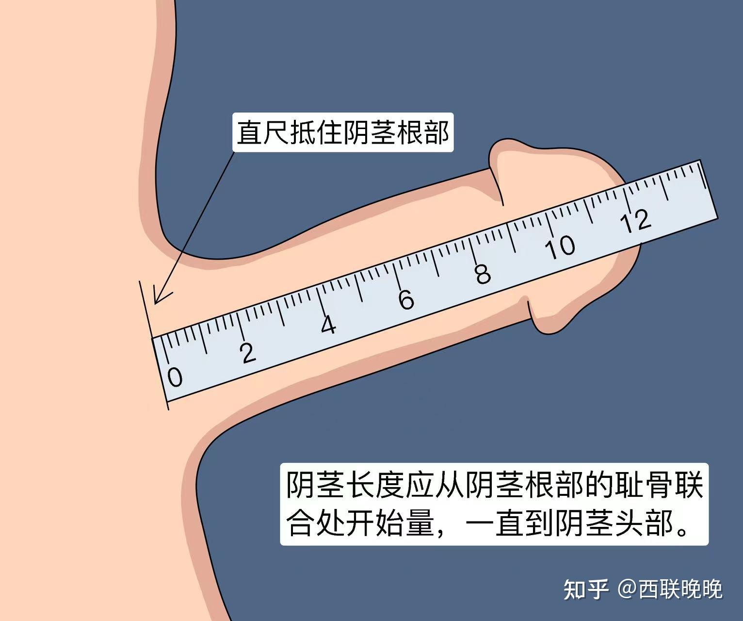 一, 如何正确测量丁丁尺寸