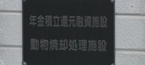 日本半年多捕杀 9765 头熊，遭遇「熊尸围城」，熊尸有哪些好的处理办法？这些熊肉可以食用吗？