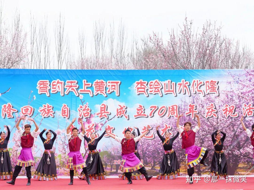 黄河岸边春来早 化隆杏花初绽开