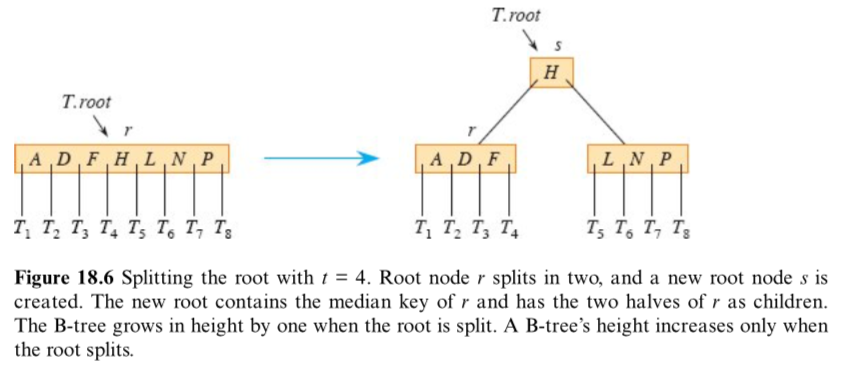 算法导论（第四版）第十八章：B树 第二节：B树上的基本操作 - 知乎