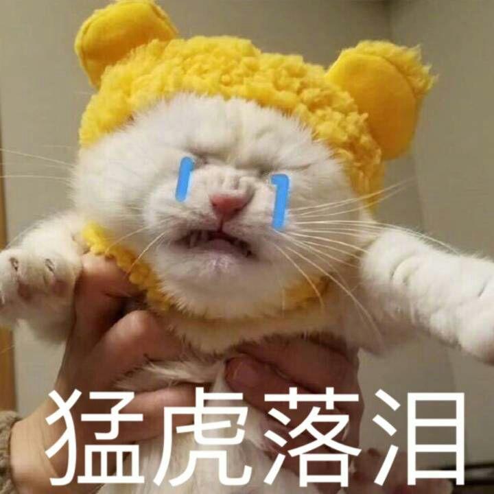 情侣间日常一天是怎样度过的?大学生 不在同一