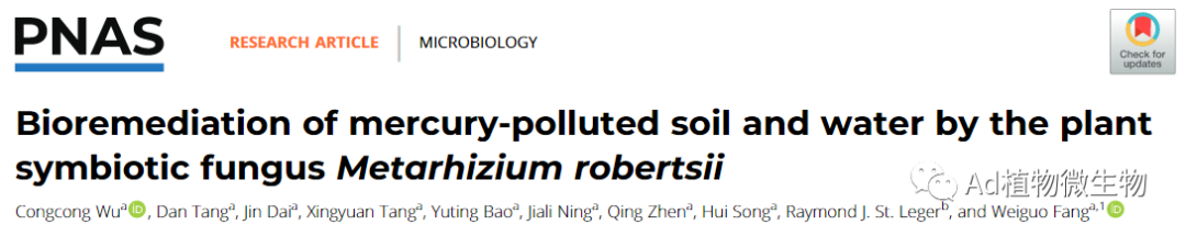 PNAS | 浙江大学方卫国团队研究揭示植物共生真菌对汞污染的生物修复作用! - 知乎