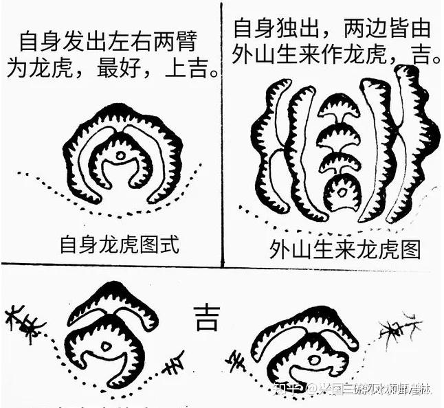 虎砂转案图片图片