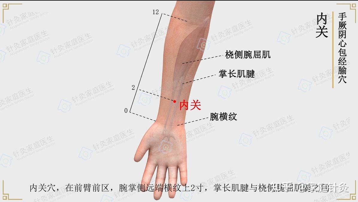 【穴以致用】内关穴——调一切内症！ - 知乎