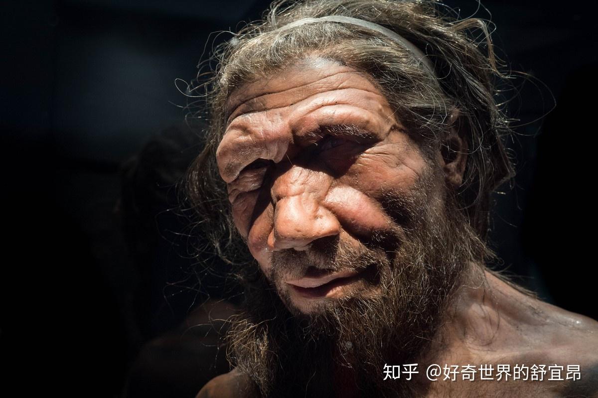 人类起源:猿人篇——曾经最有可能进化成人的种群却突然消失! - 知乎