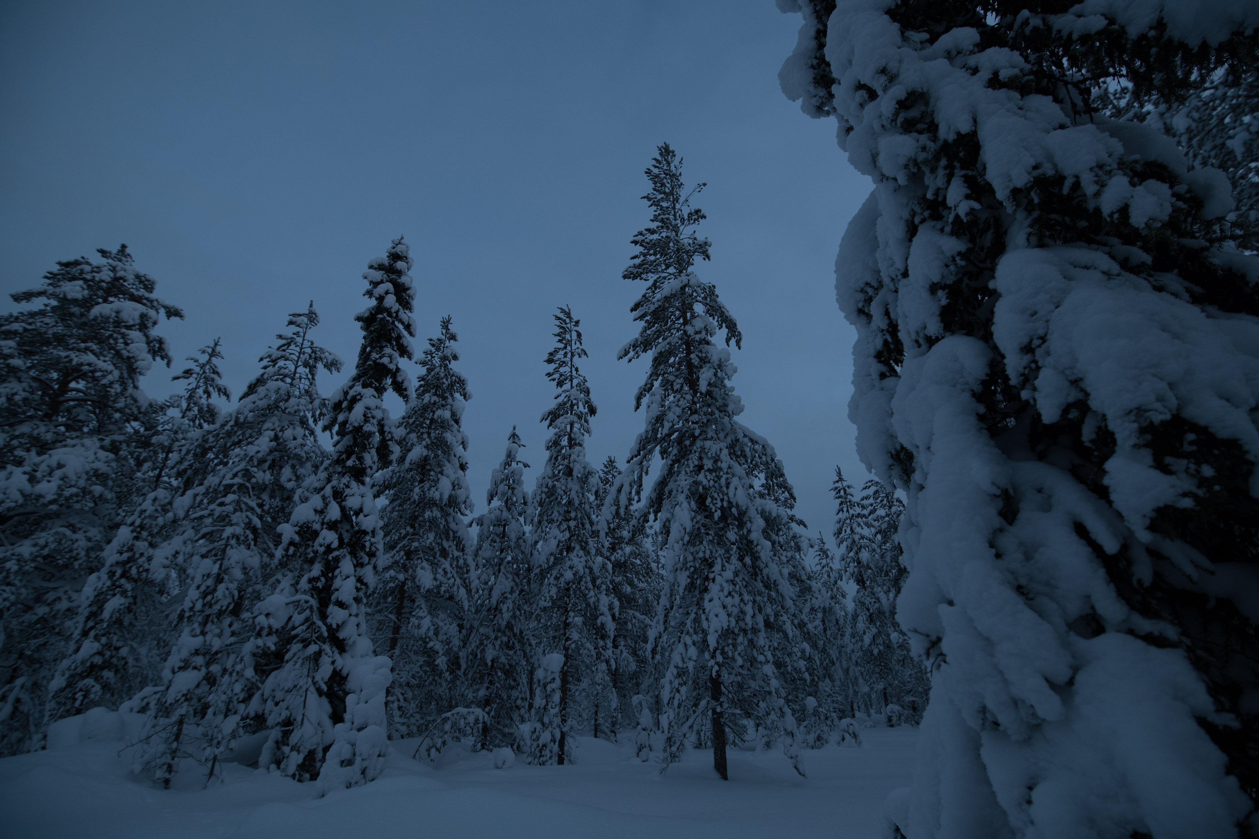 linksphotograph风光摄影爱好者 东京工芸大学写真学科