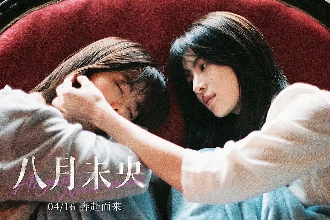 2013年,由赵薇执导,改编自辛夷坞同名小说的电影《致我们终将逝去的