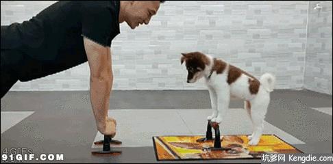 这样的俯卧撑你玩过吗