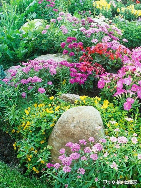 有花的院子才叫花園沒花的花園最蒼白花園應該這樣種花