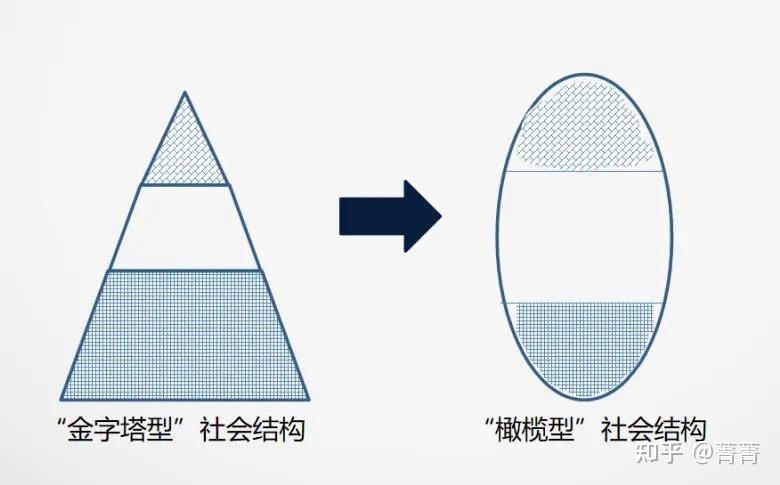 人类社会的构成不是金字塔形,而是纺锤形(橄榄形)——中间阶层占大