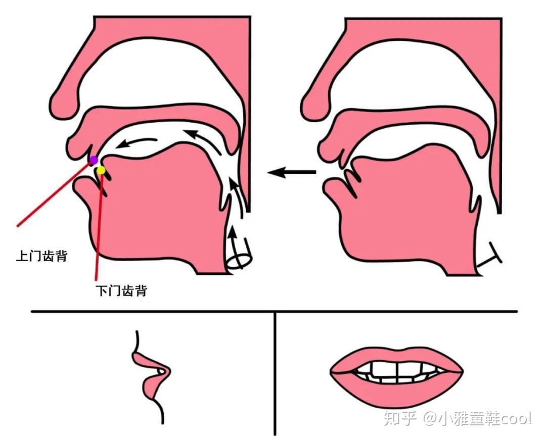 如何说好平翘舌音? - 知乎