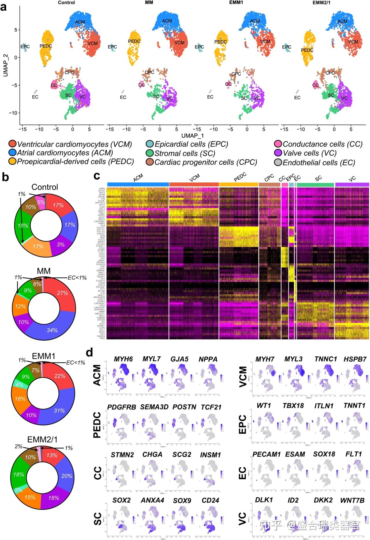 Nature子刊最新成果！心脏类器官在体外重现器官发育重要特征！ - 知乎