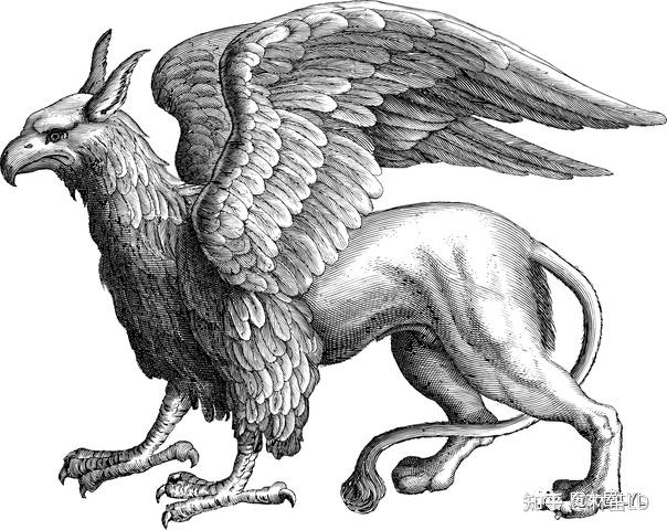神话生物——自带主角光环的狮鹫 Griffin - 知乎