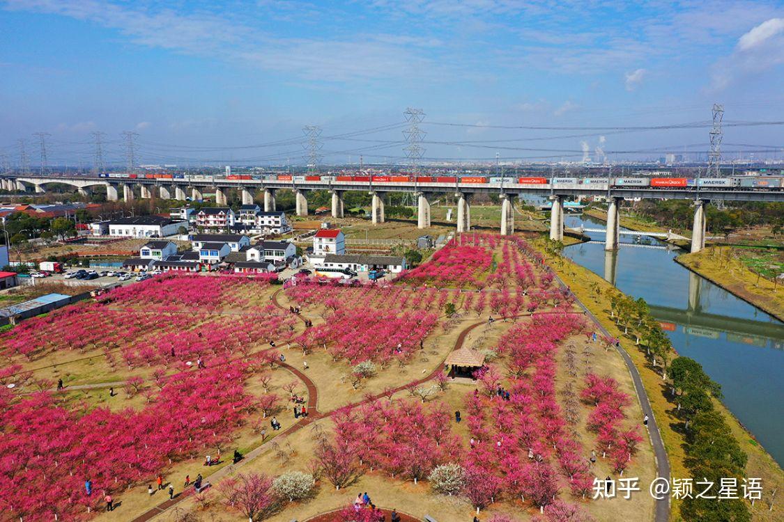 永旺村花海简介图片