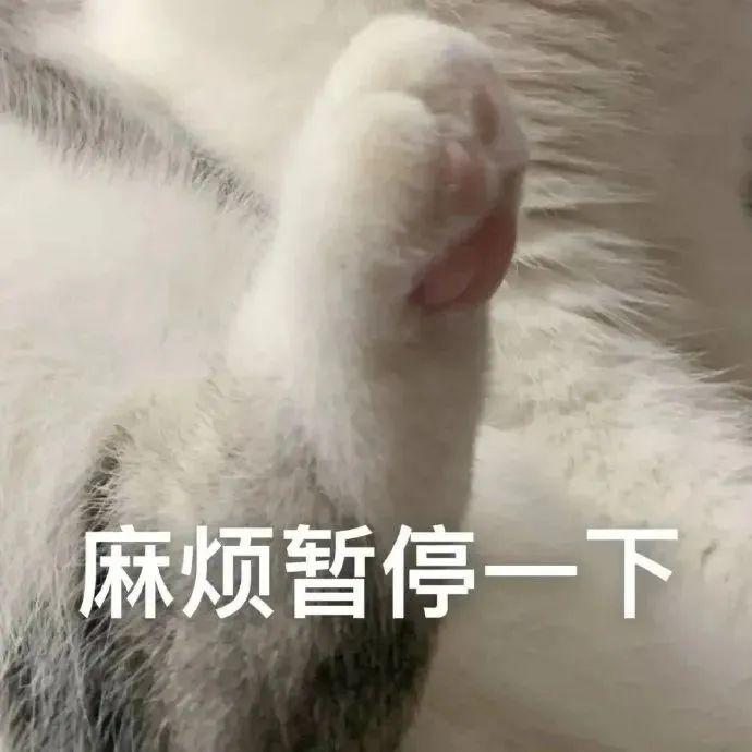 120张万能的表情包推荐-万能表情图片大全