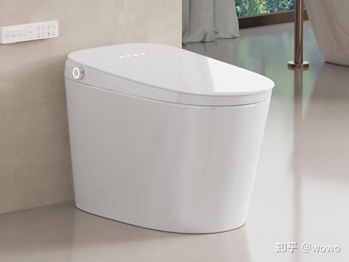 马桶是一款备受关注的国内智能卫浴产品之一,它由中国知名卫浴品牌