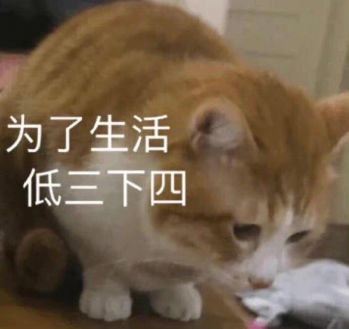 小说超级沙雕文案,小说超级沙雕文案短句