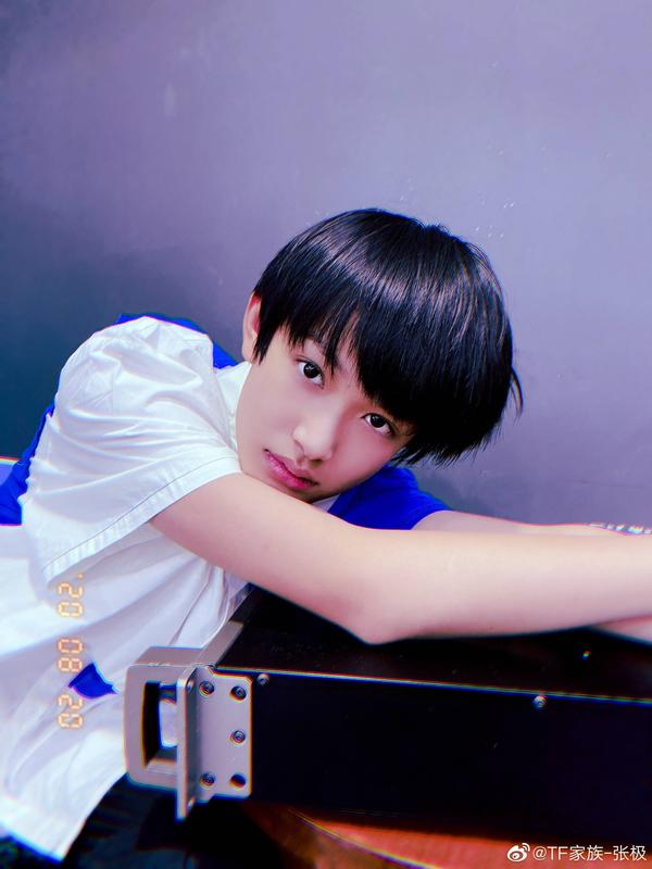 tf家族张极怎么样?