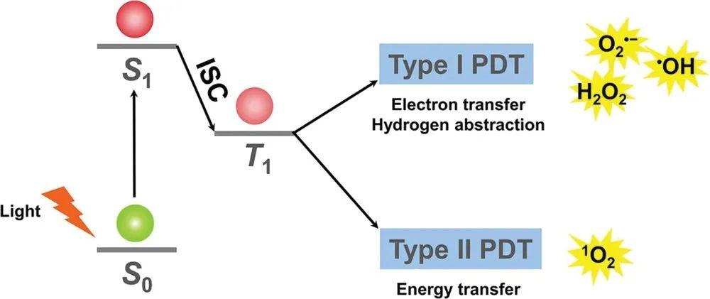 【Adv.Sci.】用于光动力疗法的具有内在单线态氧生成的无机纳米材料 - 知乎