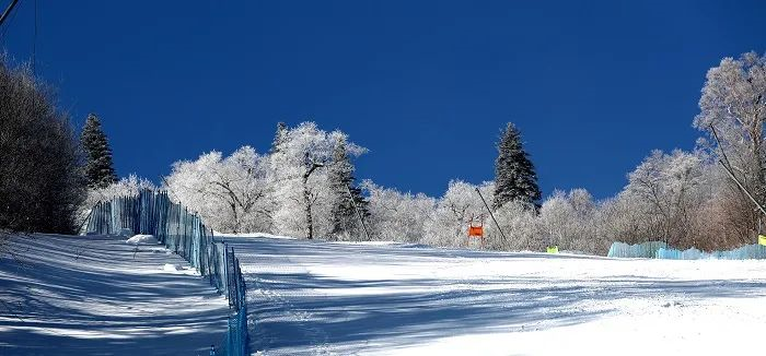 祝賀北京冬奧會圓滿成功國內八大必去的滑雪場收藏這一篇就夠了