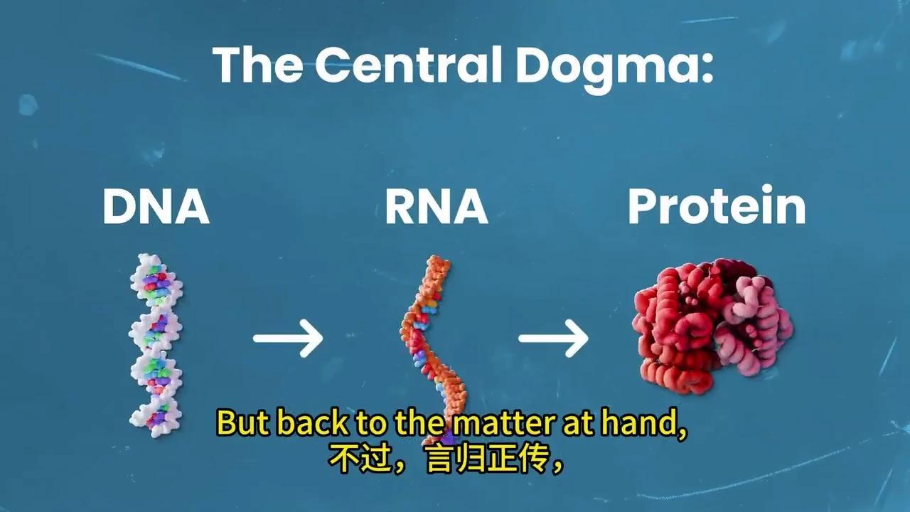 彻底解密DNA转录与mRNA剪接:动画揭秘生物学奥秘 - 知乎