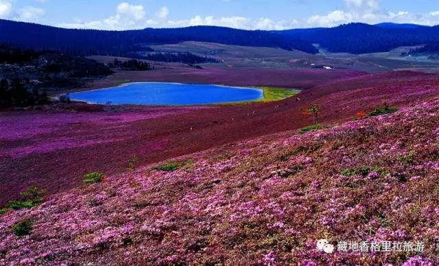 香格里拉10大必游景点“老司机”都去过,你走过几个?-香格里拉必看景点