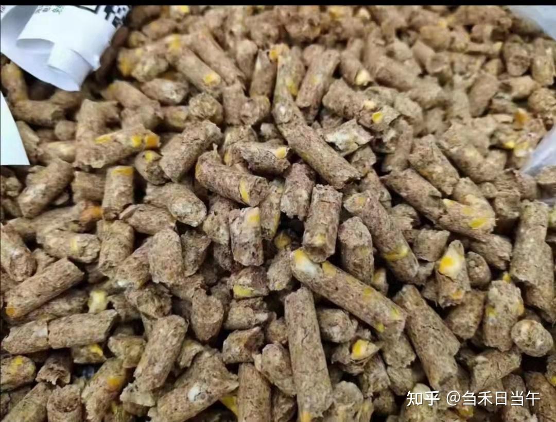 孙涛博士育肥羊全混合日粮颗粒系列一现状及优劣势分析