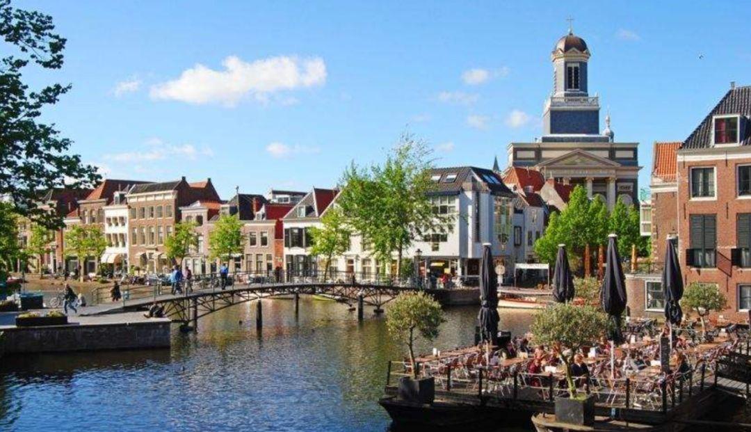 莱顿 排名_莱顿油画(2)