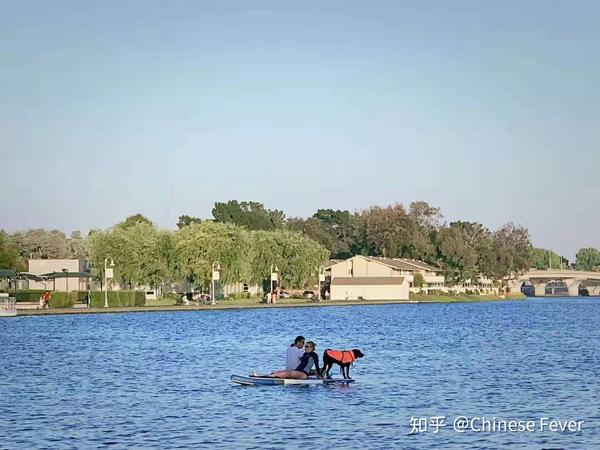 对外汉语教案教学反思怎么写_汉语课教学反思_写教案需要写教学反思吗