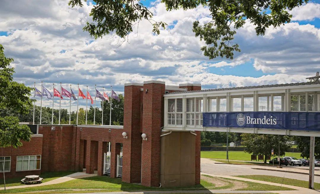 美国最年轻大学之一布兰迪斯大学对国际生友好它是top50中的绝佳保底