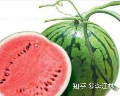 西瓜是怎么种的在南方 v2-76e7283eb38e52e7e1dcf50595bd1773_b.jpg