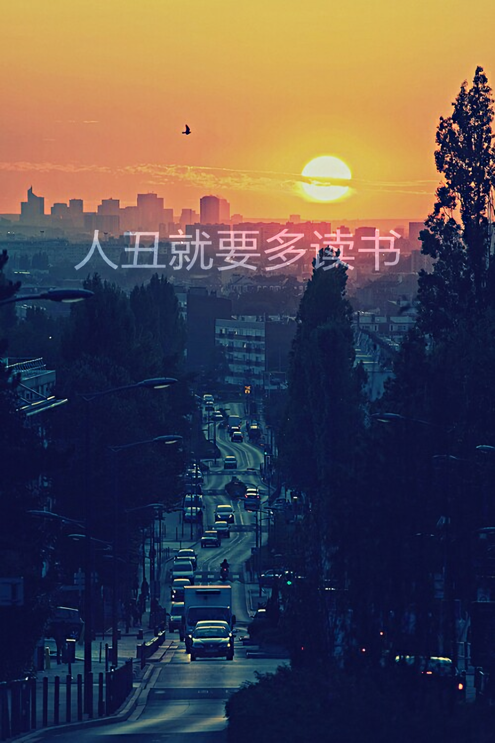 有没有那些警示自己的壁纸?比如说自己很丑很