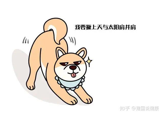惊呆了!撅屁股竟成护腰秘籍,你试过吗? - 知乎