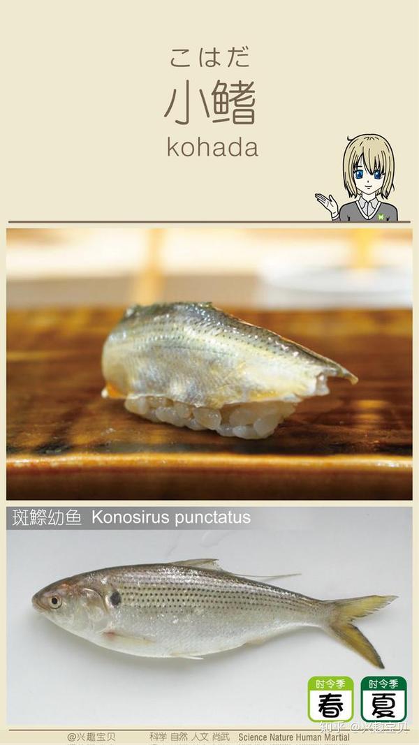 日本寿司一般会用到什么鱼 刺身的话除了三文鱼还有什么比较出名的鱼种供选用 寿司刺身有哪几种鱼 Urpimp网