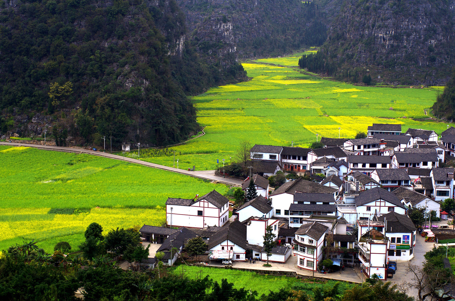 坝子农业,是云贵高原的主要农业类型.