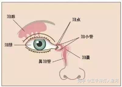 泪道阻塞是什么原因引起的有哪些症状