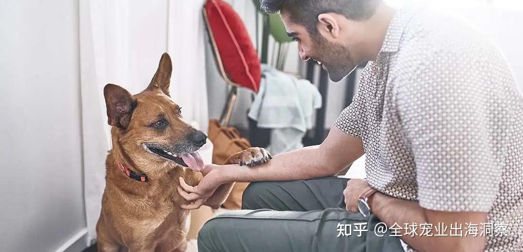 2024亚宠展报名开放;玛氏投资近10亿的工厂投产;利民布局宠物