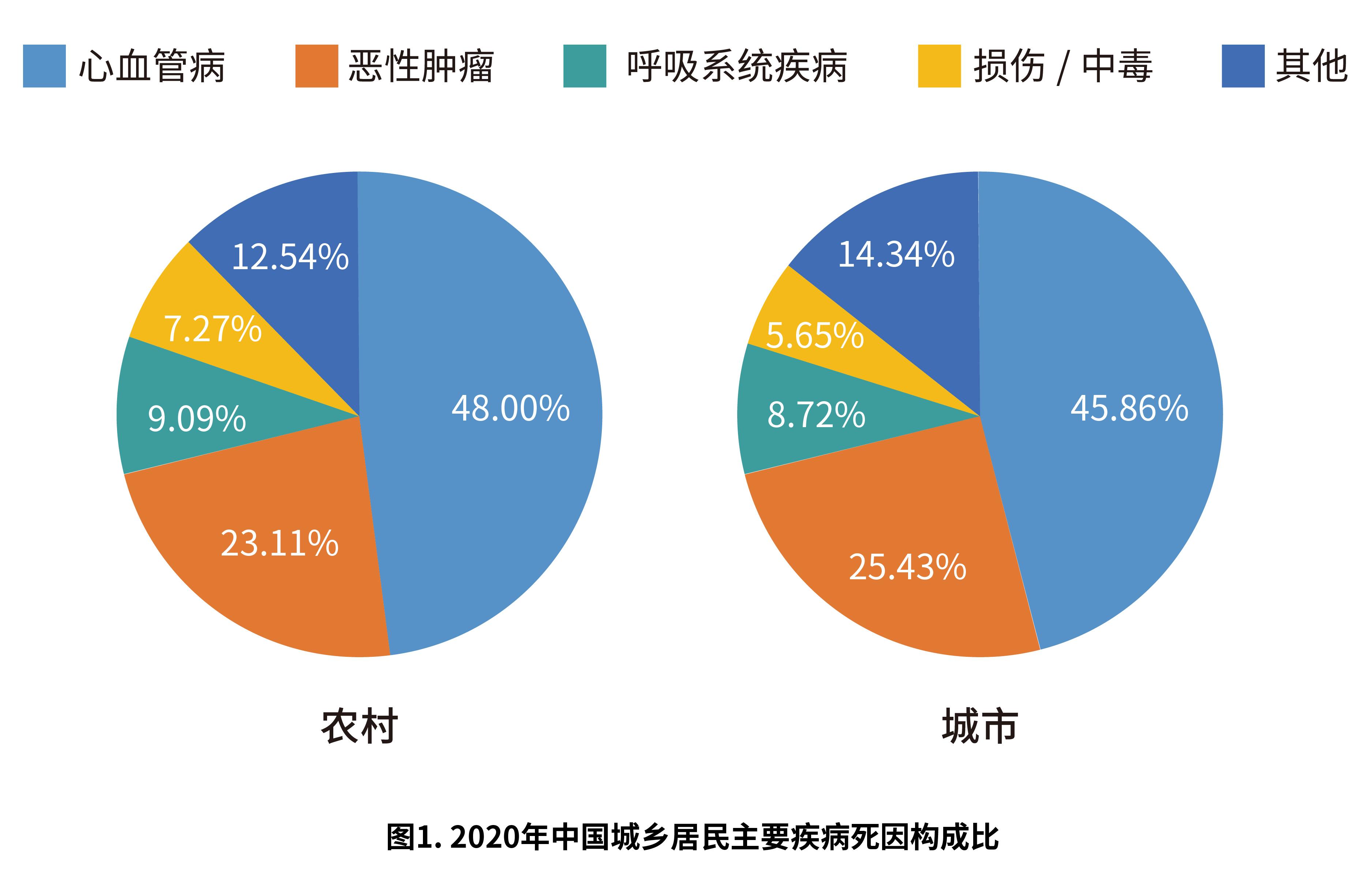 最新心血管疾病报告发布