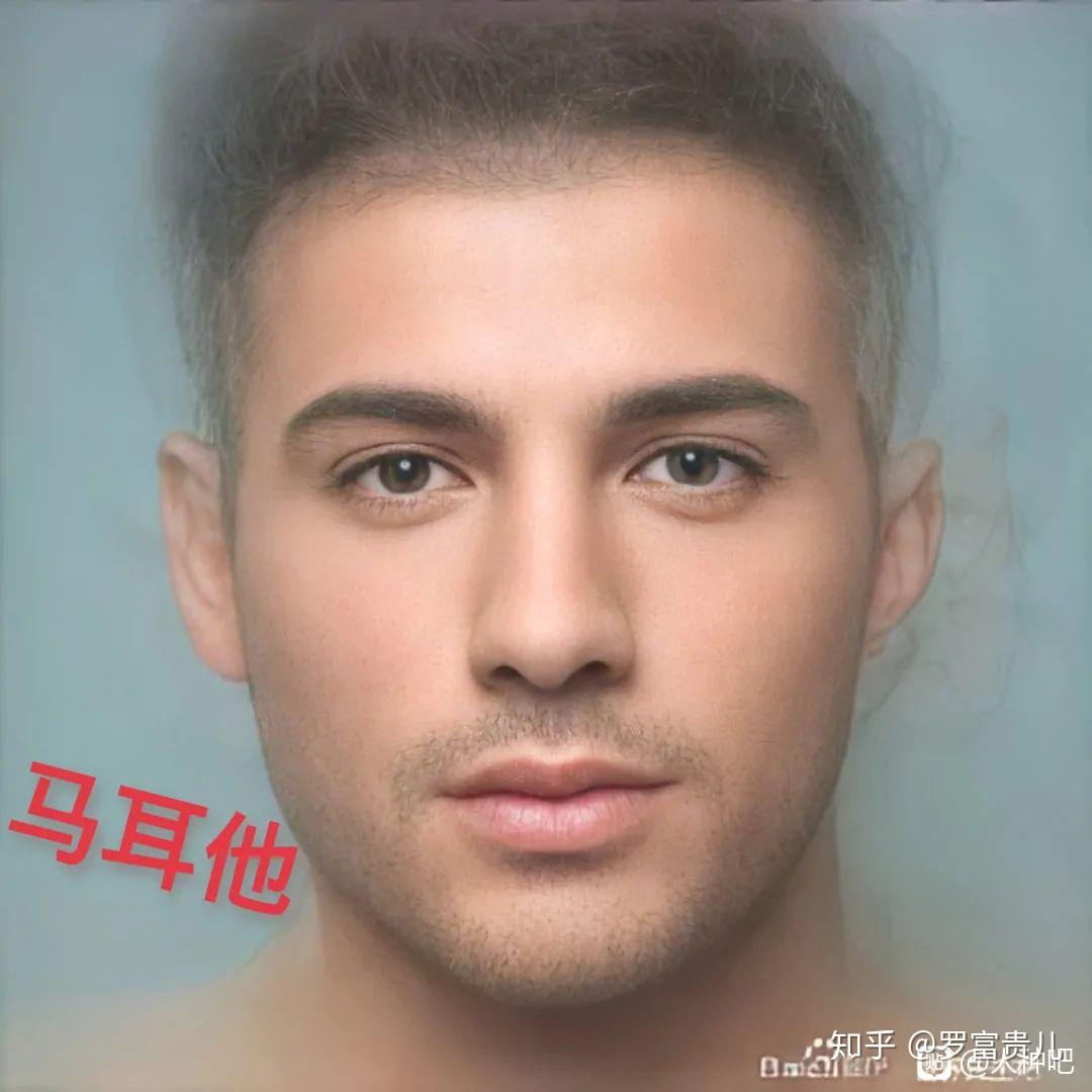 各国普通帅哥平均脸