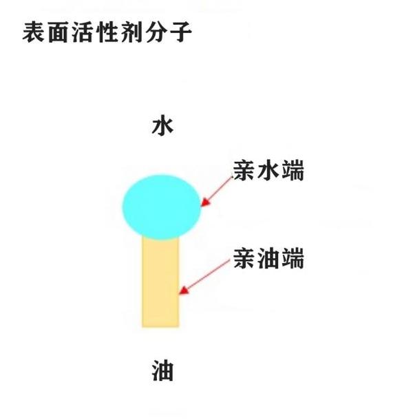 影响力和社会意义