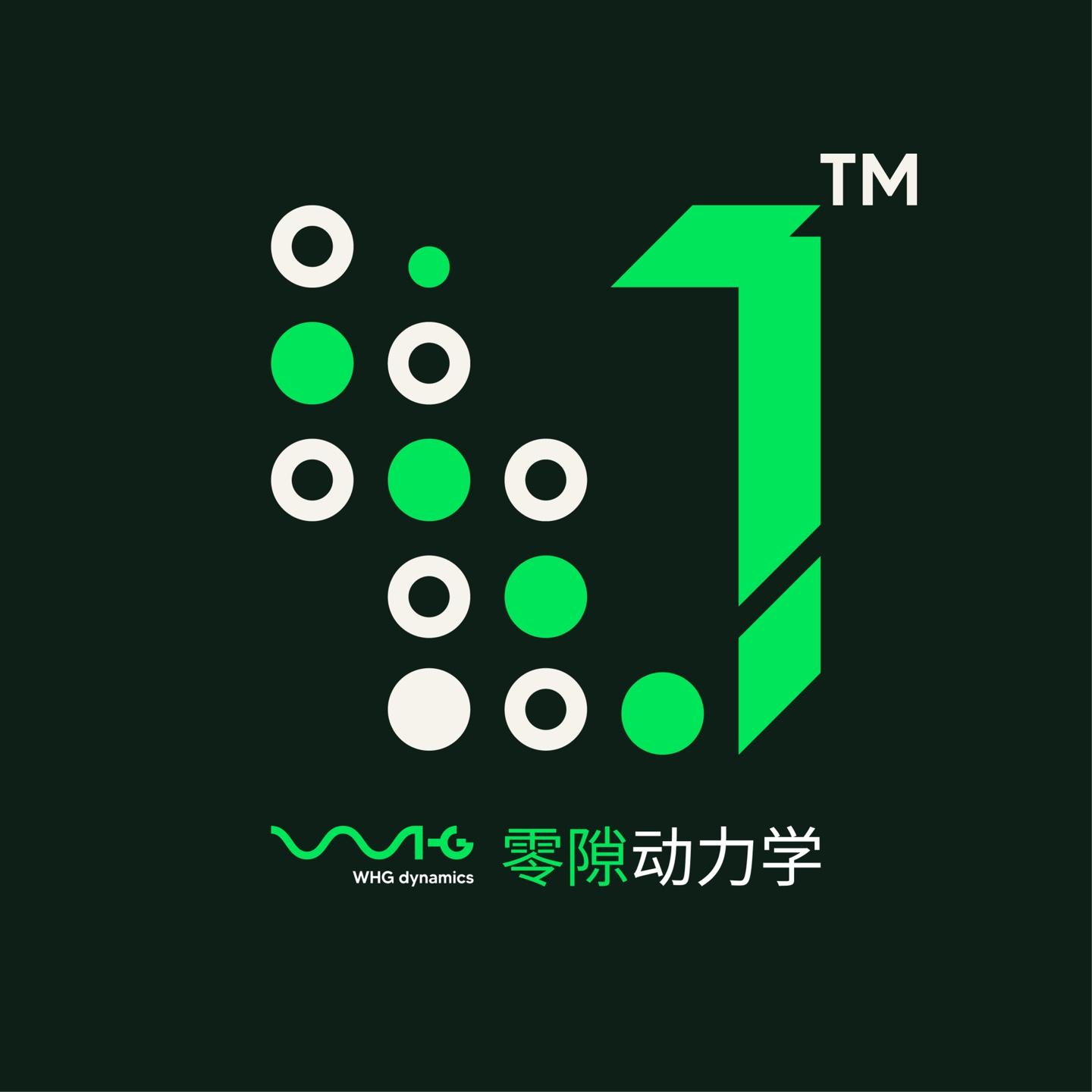汪海根零隙动力学