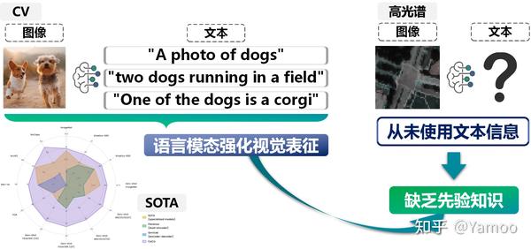 遥感图像迁移学习 (4)：Language-aware Domain Generalization Network (LDGnet) - 知乎